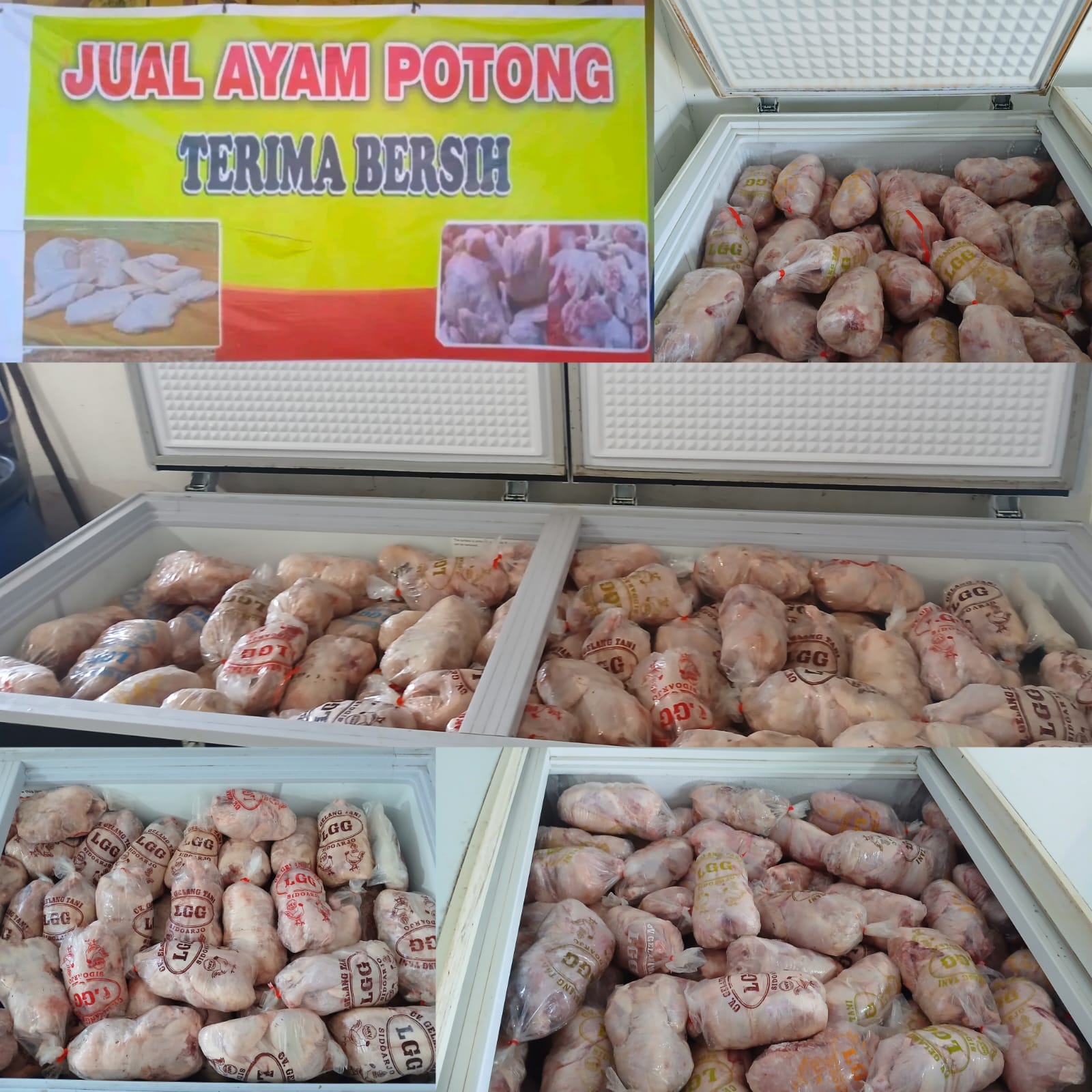 Ilustrasi Ayam Segar